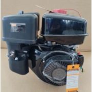 Двигатель 306cc LCTCS 8D
